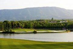 听说有可以或许影响P的人住正在全南京最贵的房